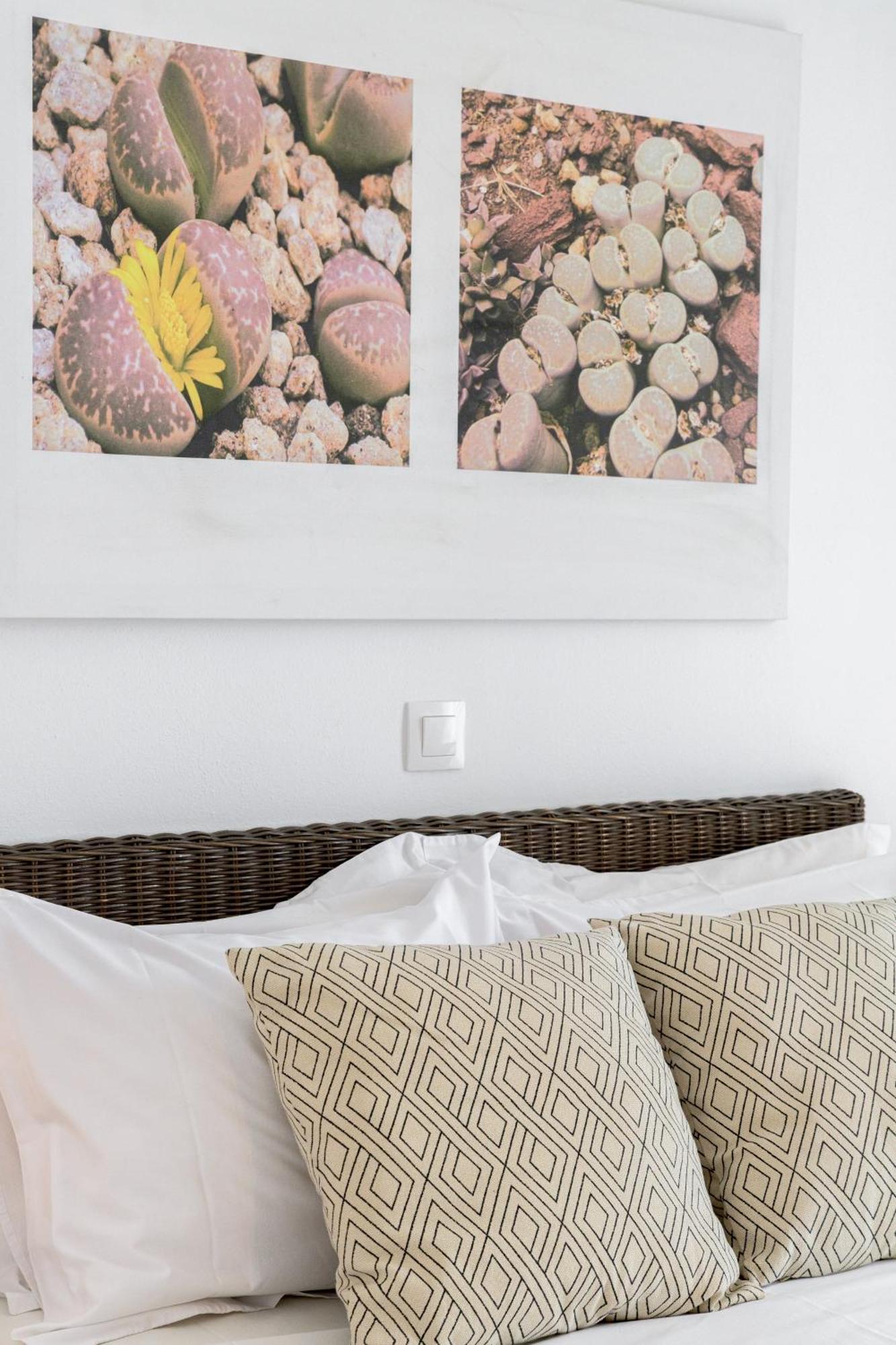 Litsa Malli Rooms Pollonia Zewnętrze zdjęcie